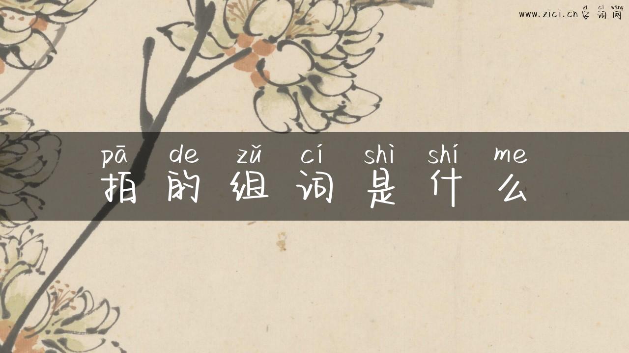 拍的组词是什么