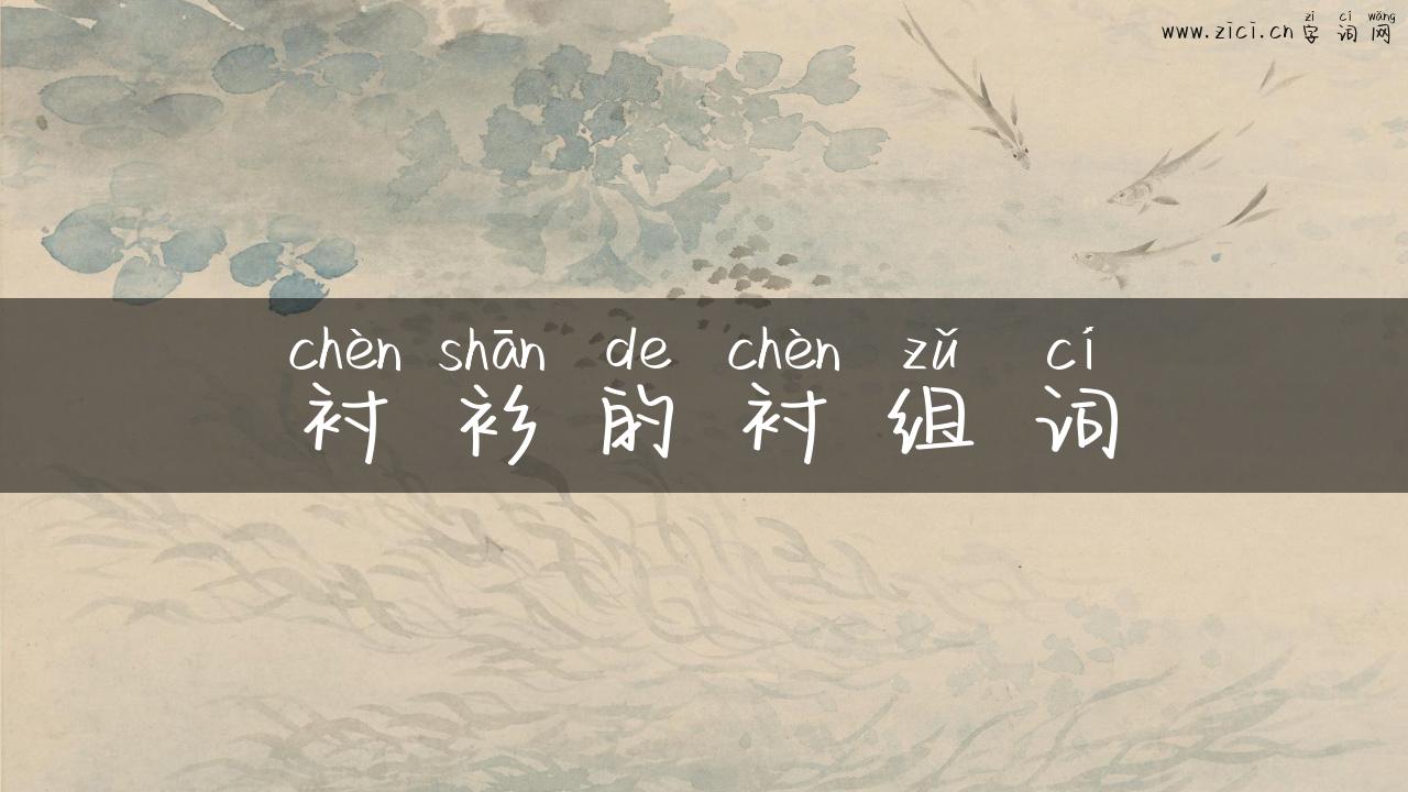 衬衫的衬组词