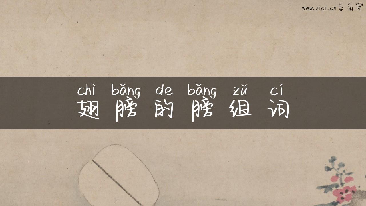 翅膀的膀组词