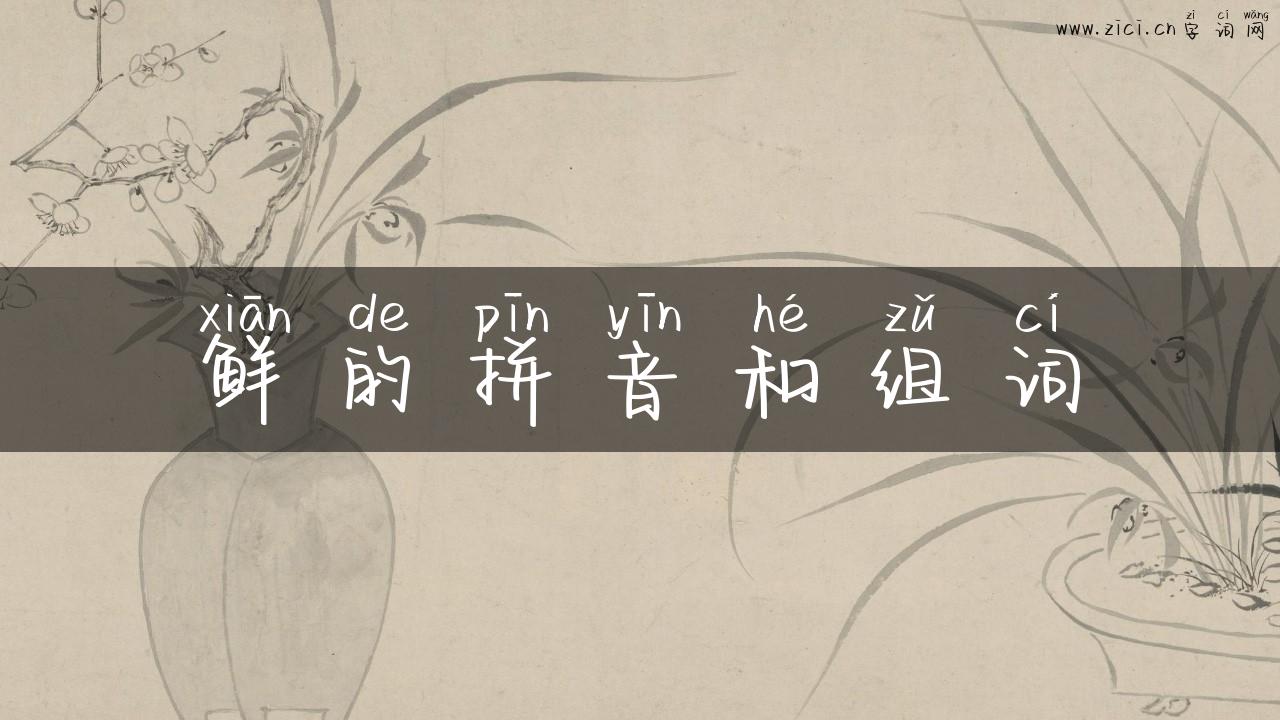 鲜的拼音和组词