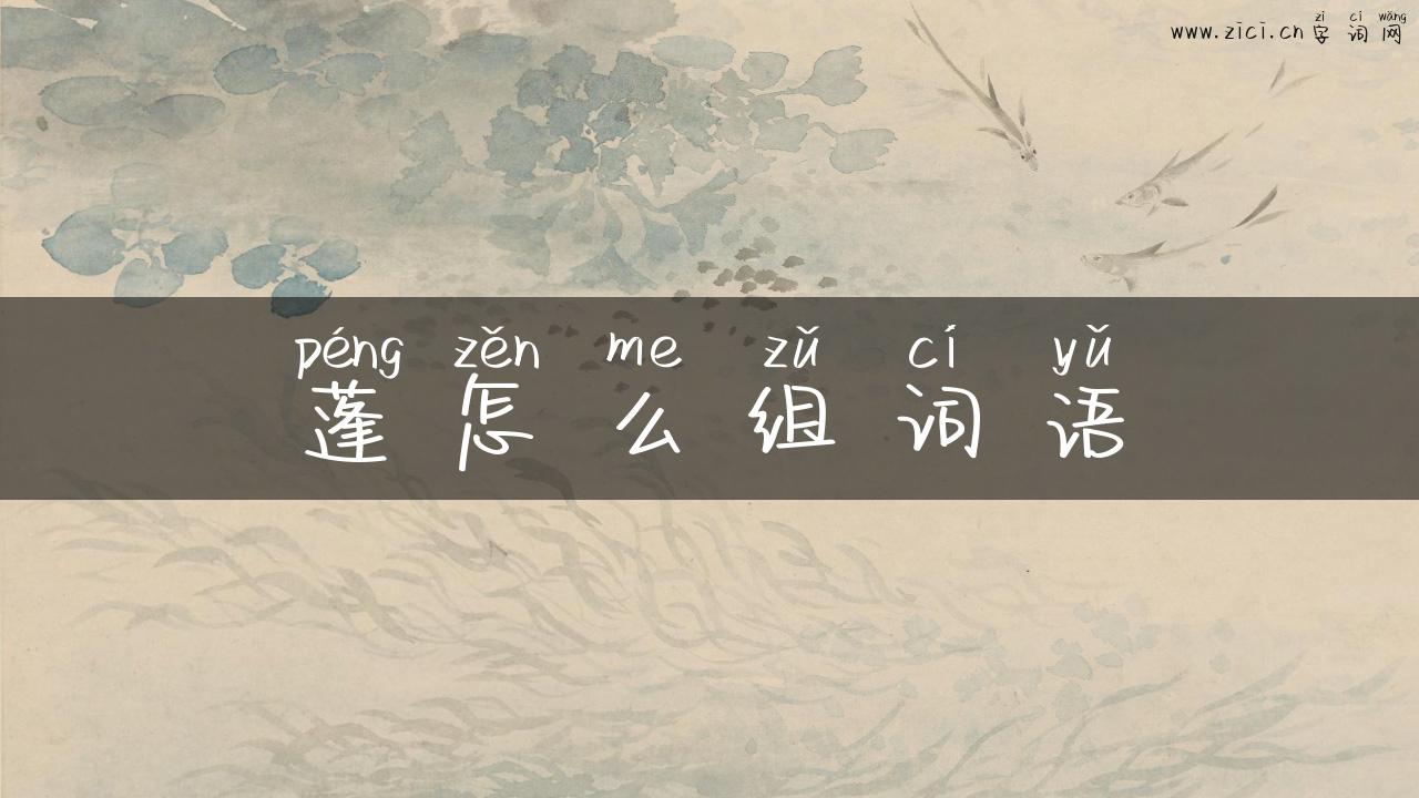 蓬怎么组词语