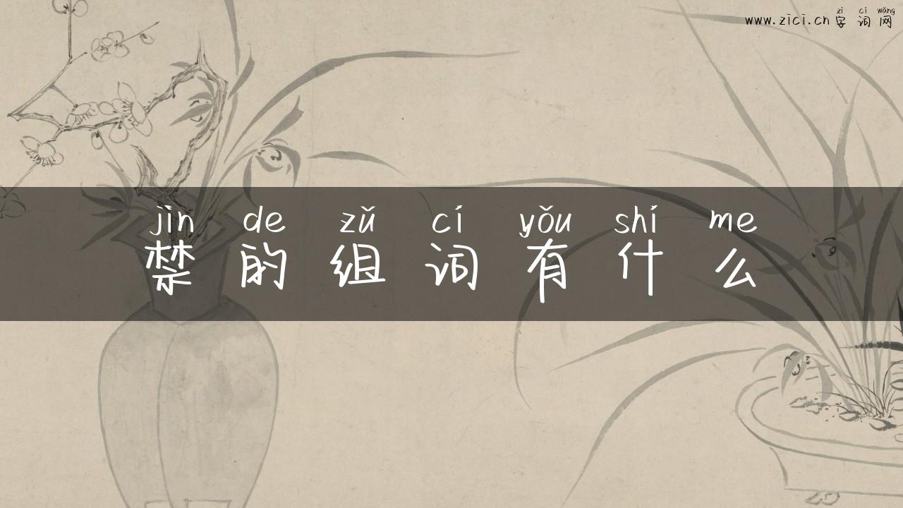 禁的组词有什么