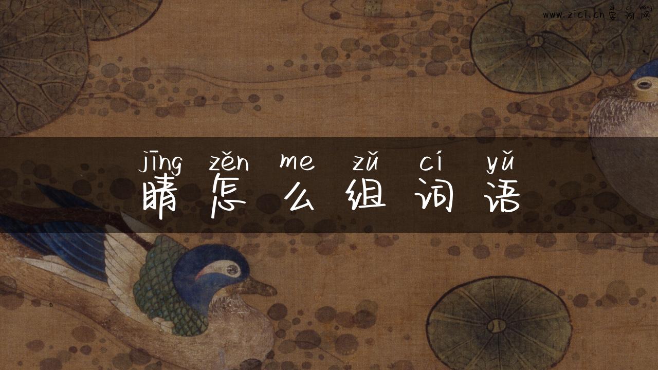 睛怎么组词语
