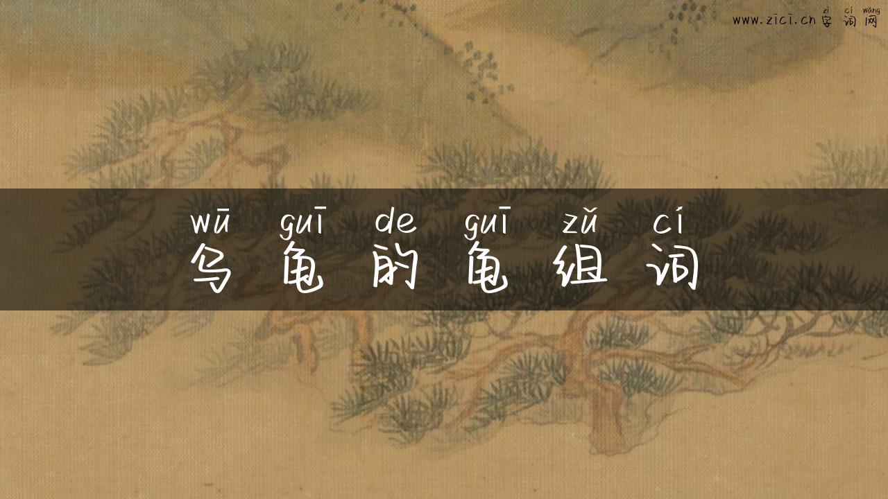 乌龟的龟组词
