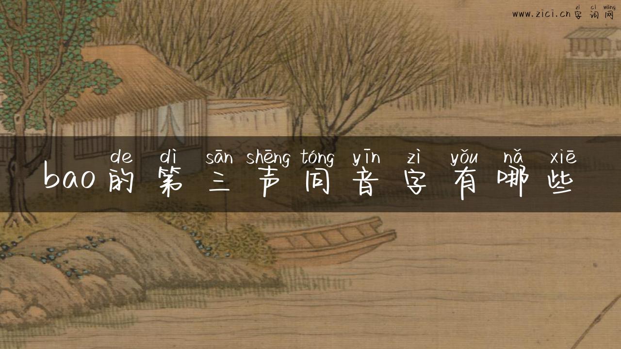 bao的第三声同音字有哪些