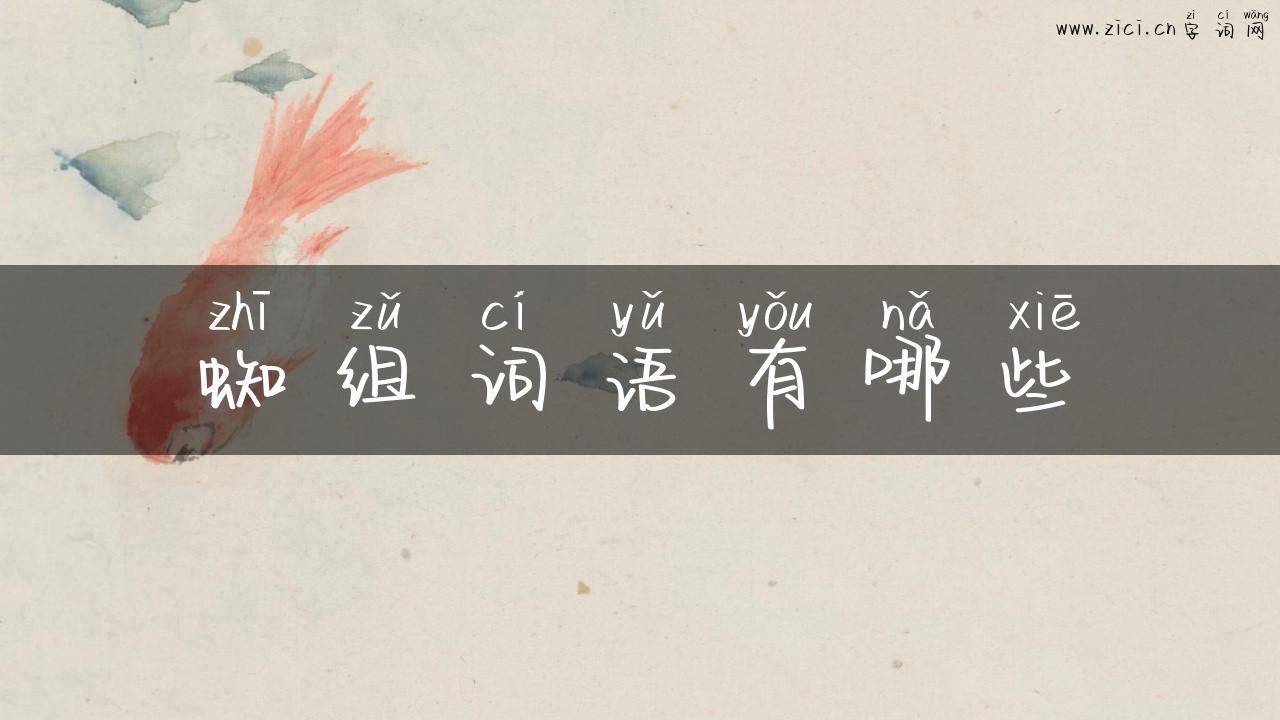 蜘组词语有哪些