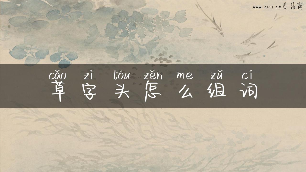 草字头怎么组词