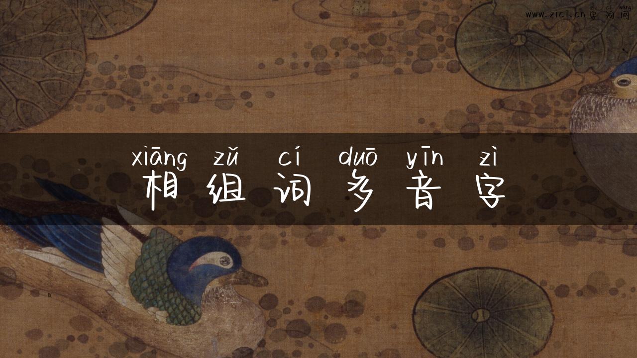 相组词多音字
