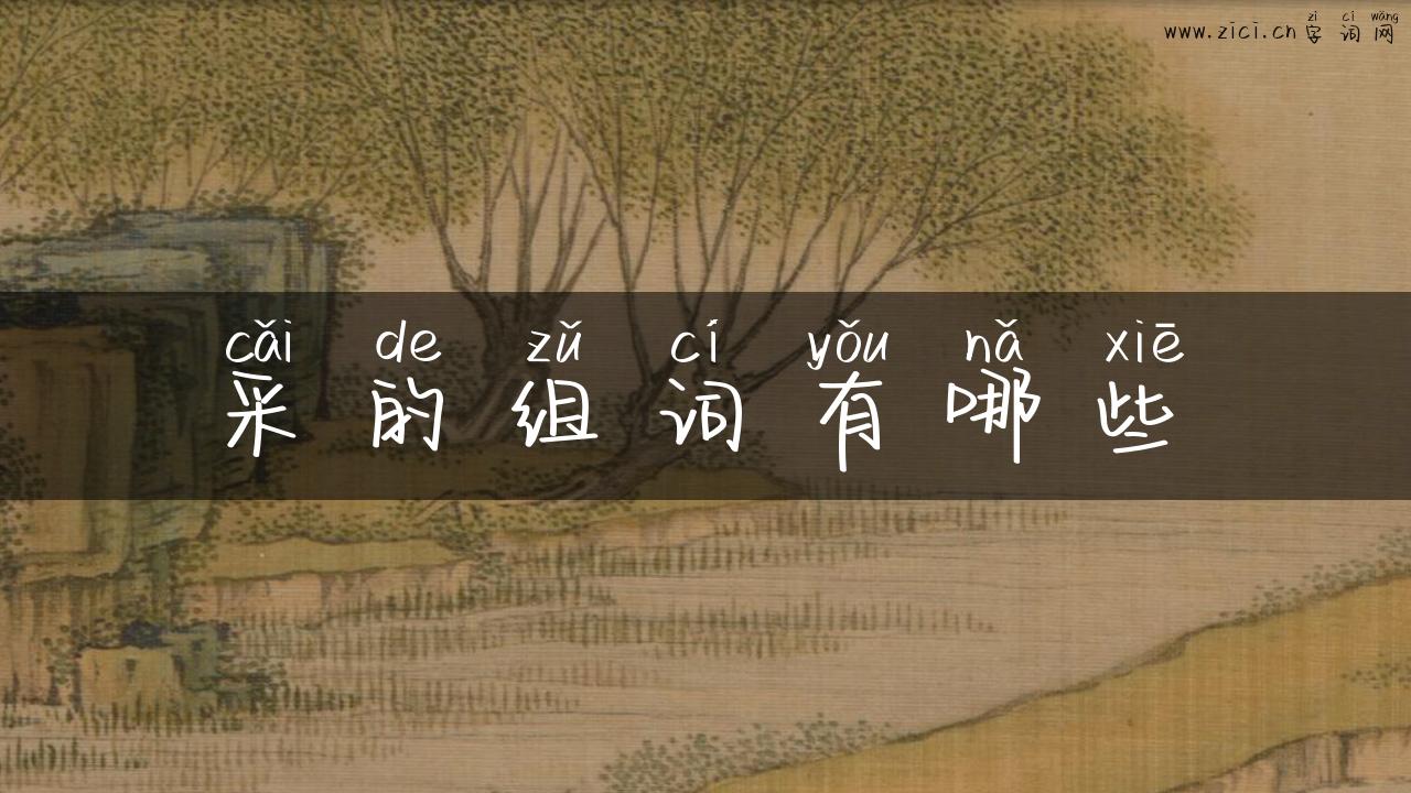 采的组词有哪些