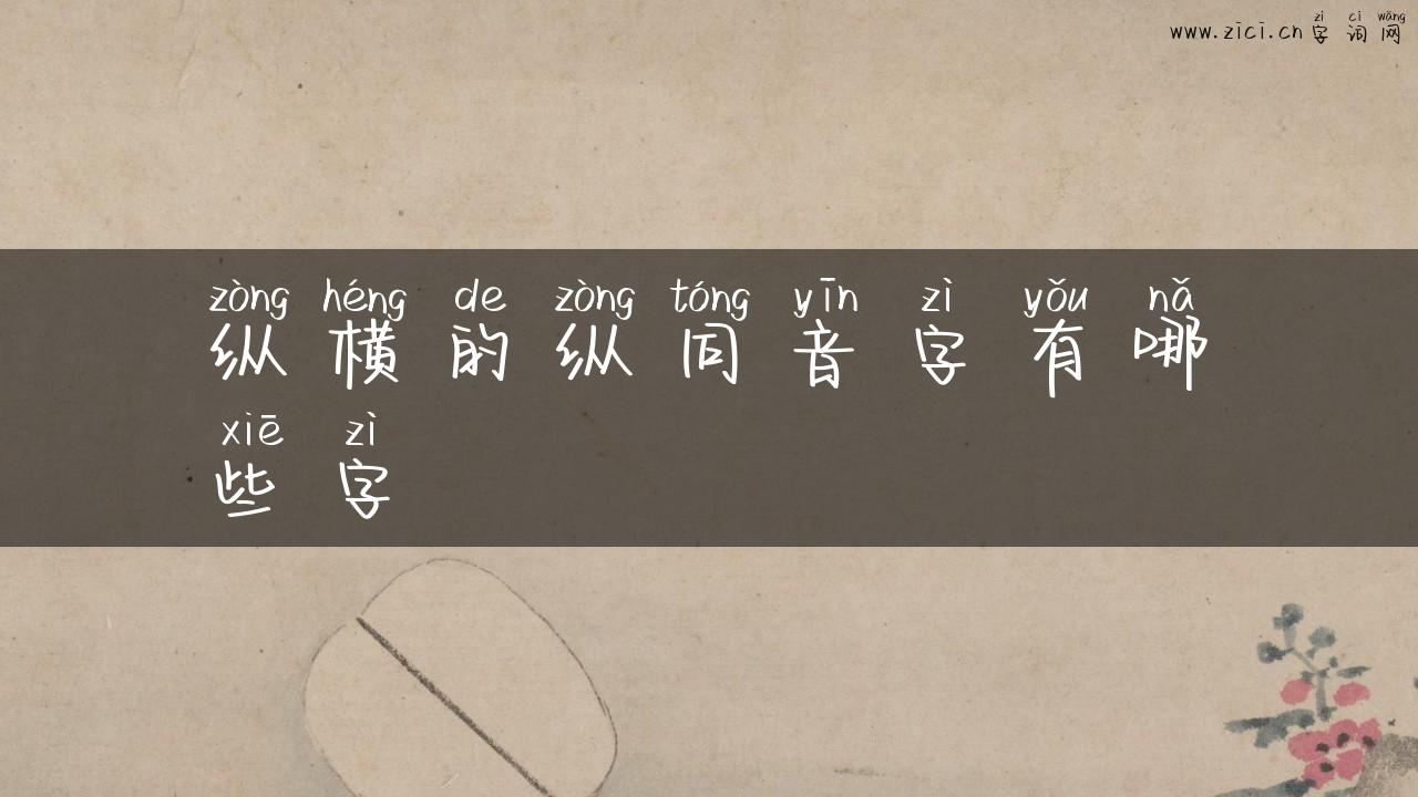 纵横的纵同音字有哪些字
