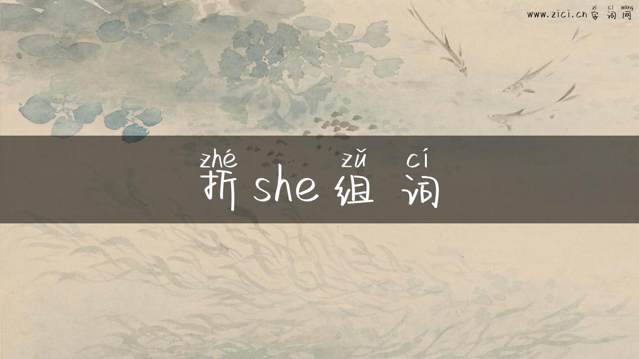 折she组词