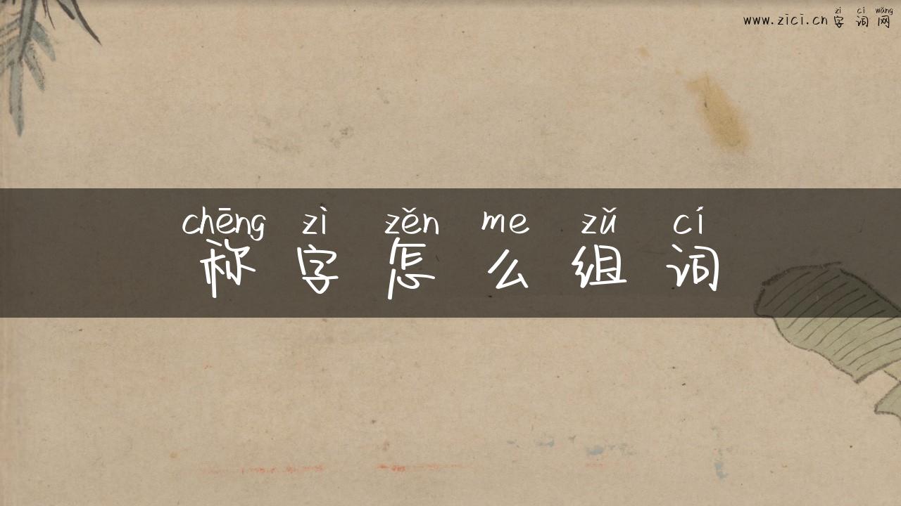 称字怎么组词