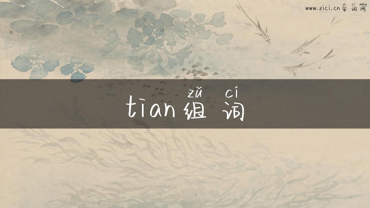 tian组词