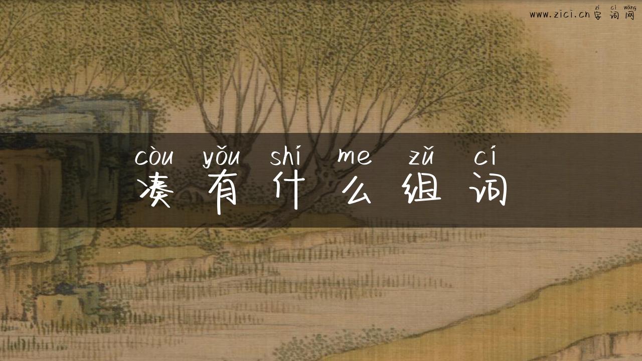 凑有什么组词