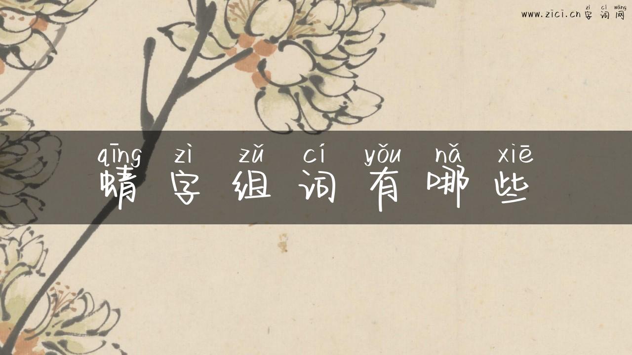 蜻字组词有哪些