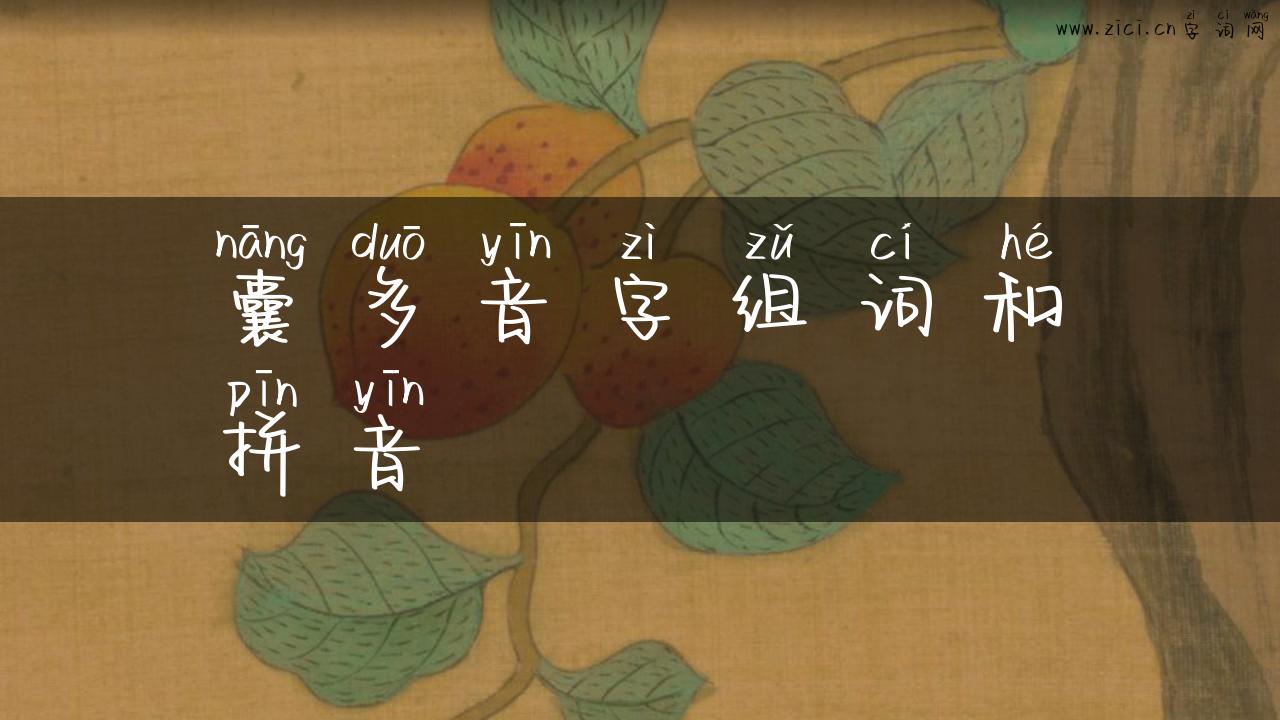 囊多音字组词和拼音