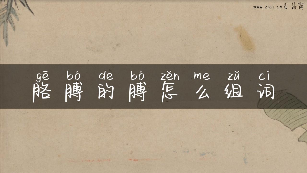 胳膊的膊怎么组词