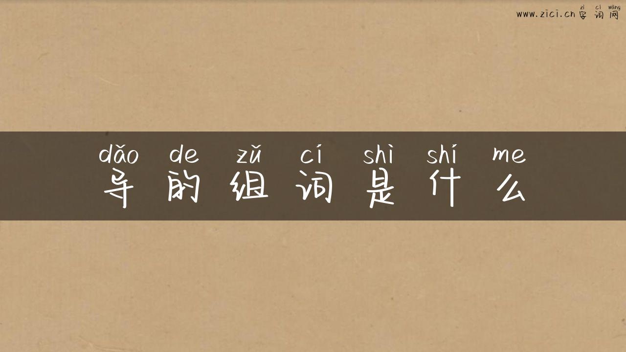 导的组词是什么