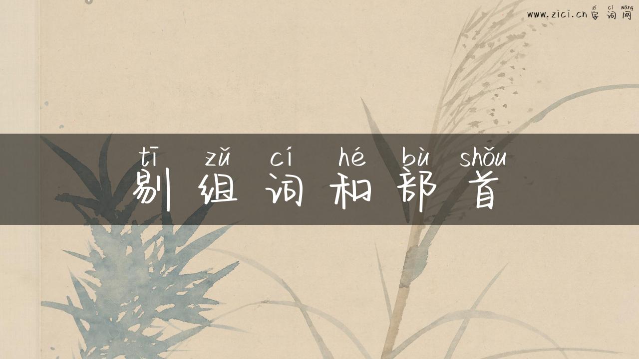 剔组词和部首