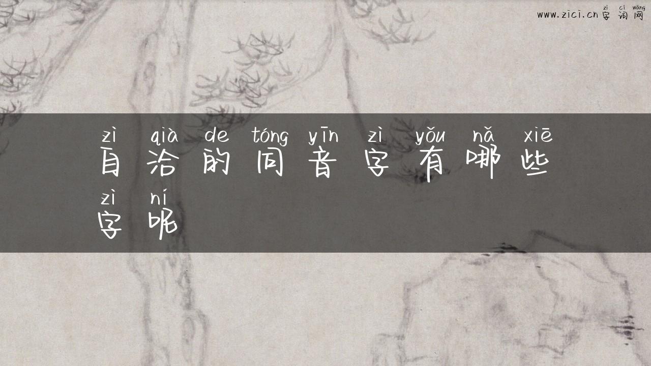 自洽的同音字有哪些字呢