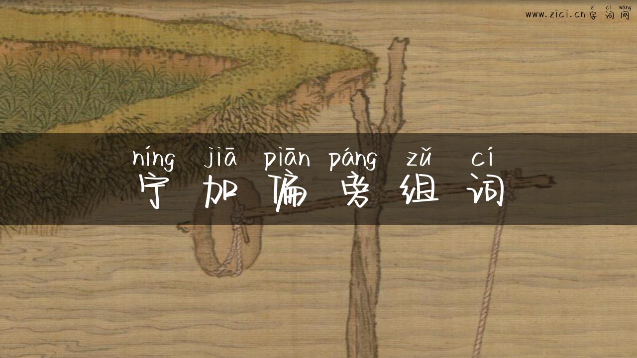 宁加偏旁组词