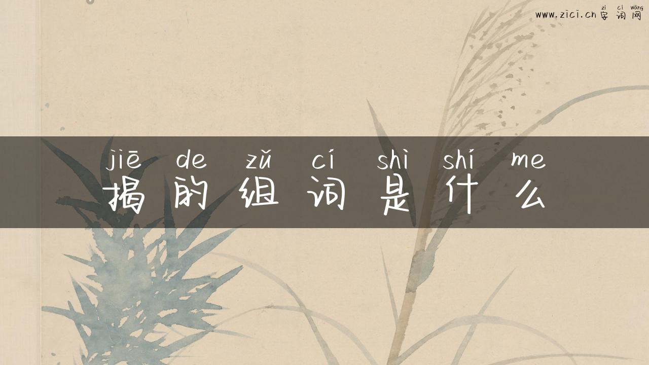 揭的组词是什么
