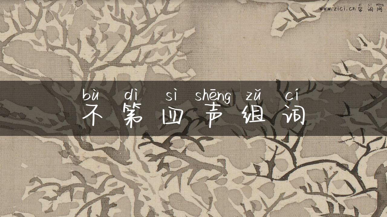 不第四声组词