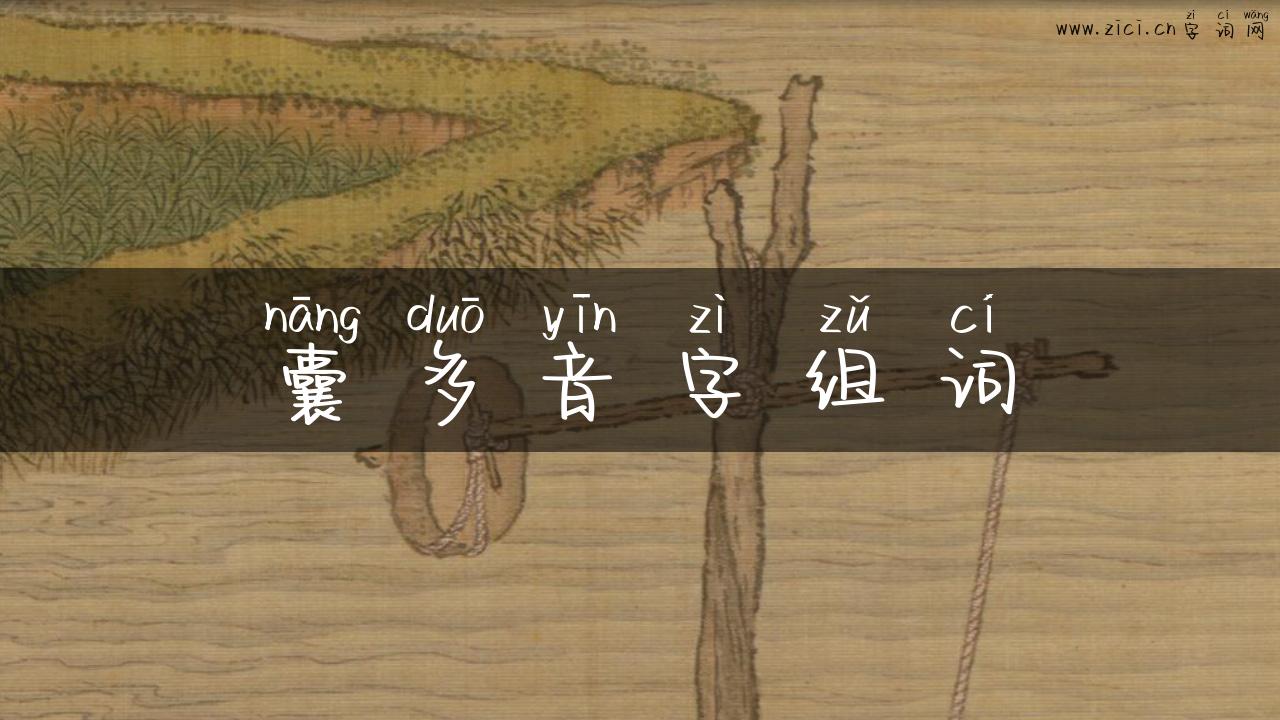 囊多音字组词