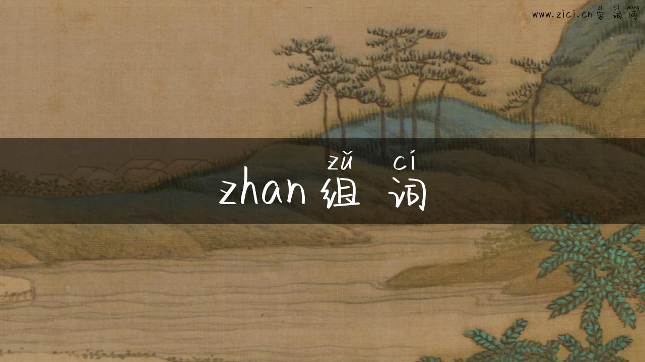 zhan组词
