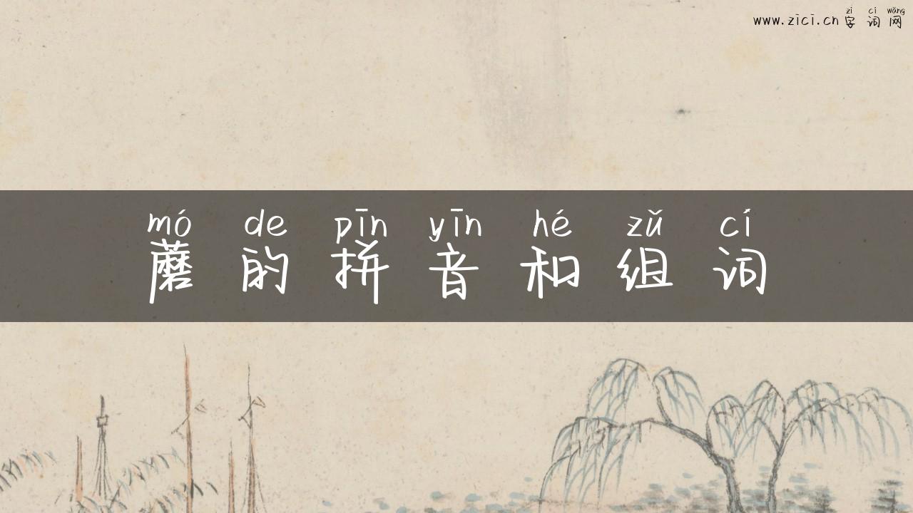 蘑的拼音和组词