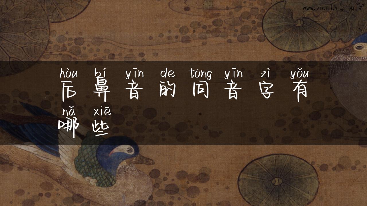 后鼻音的同音字有哪些