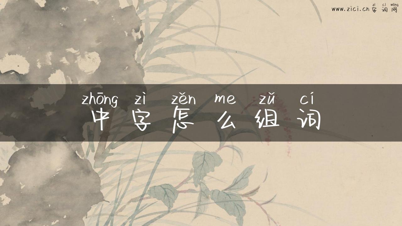 中字怎么组词