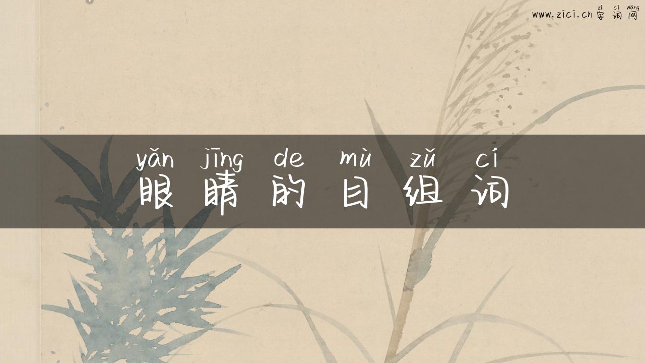 眼睛的目组词