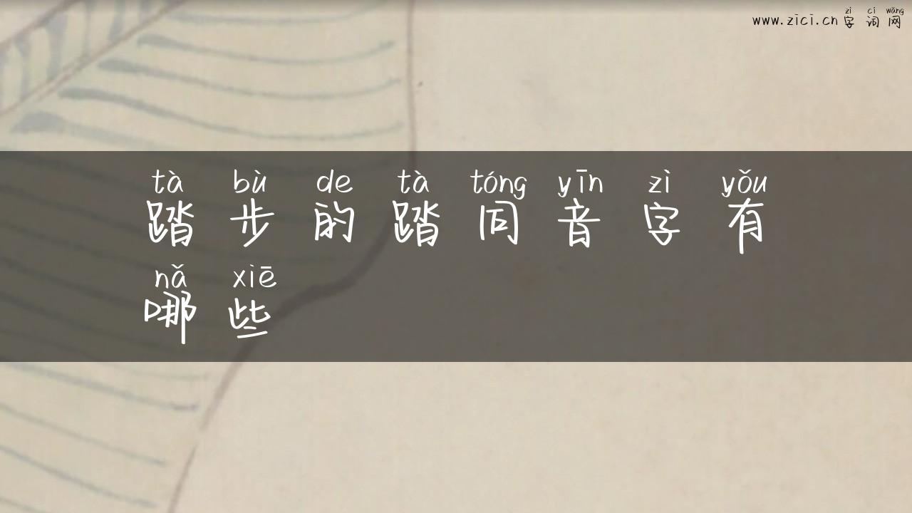 踏步的踏同音字有哪些