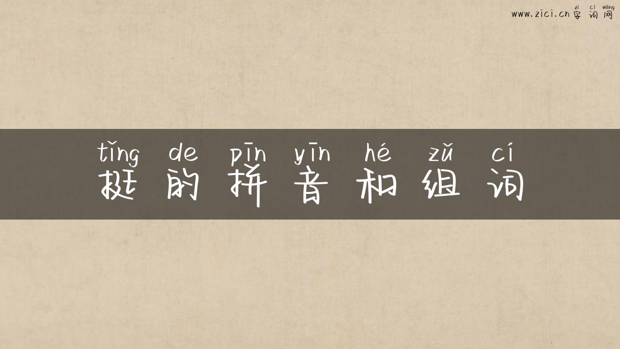 挺的拼音和组词