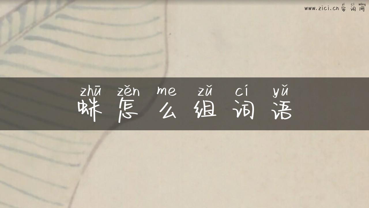 蛛怎么组词语