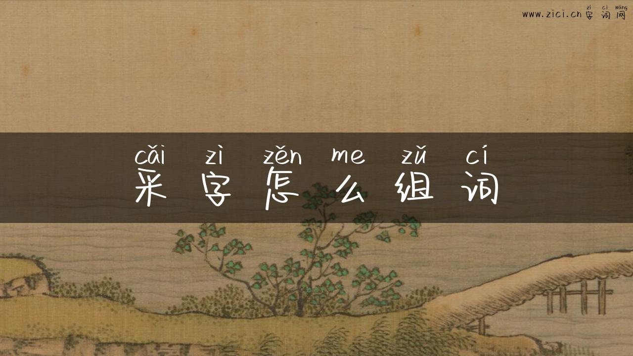 采字怎么组词