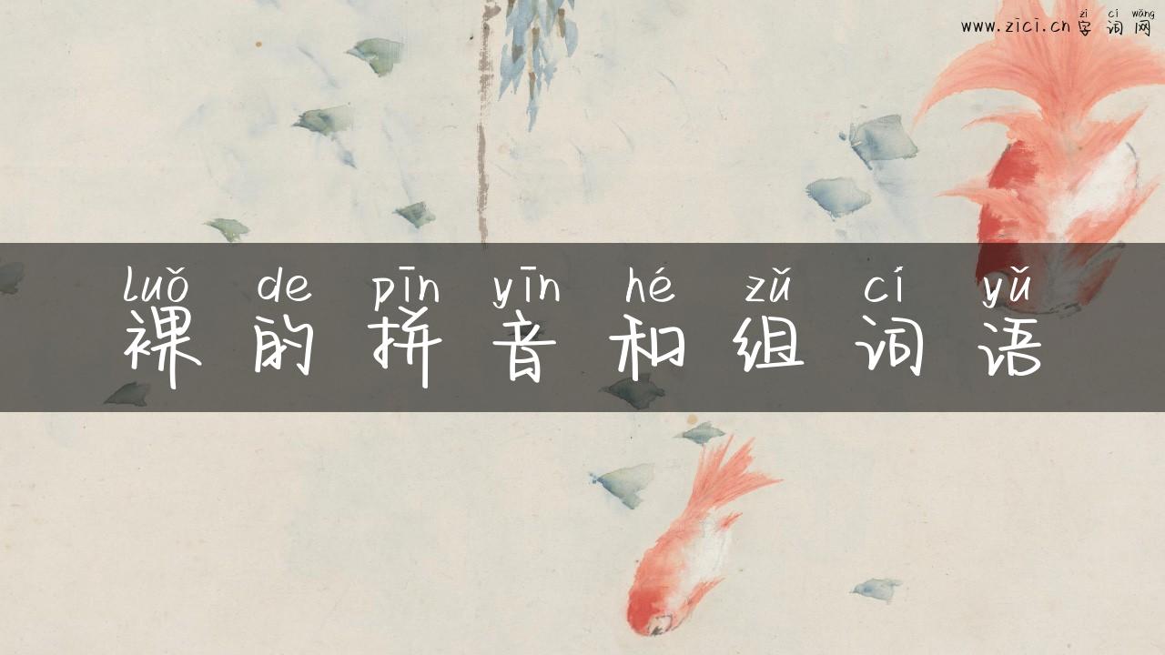 裸的拼音和组词语
