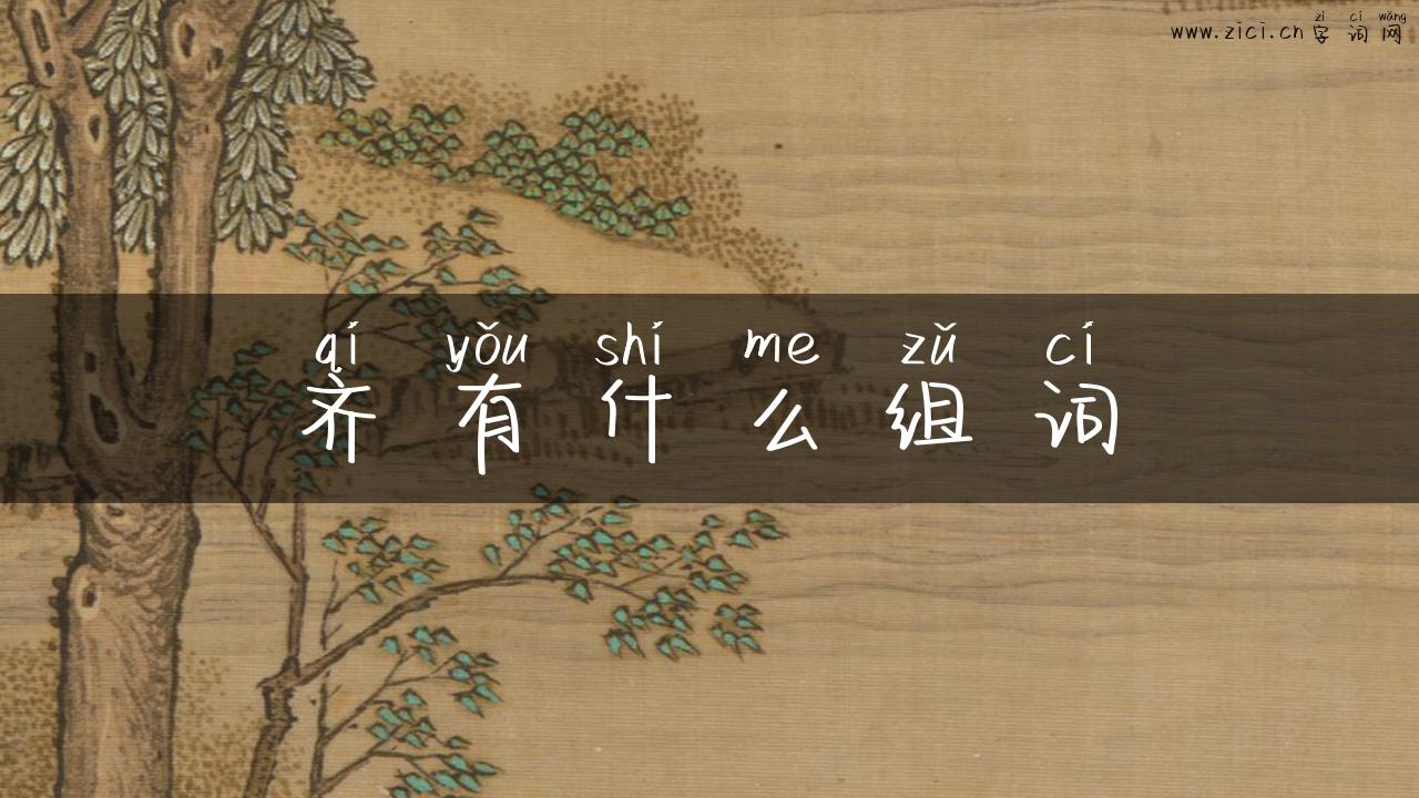 齐有什么组词
