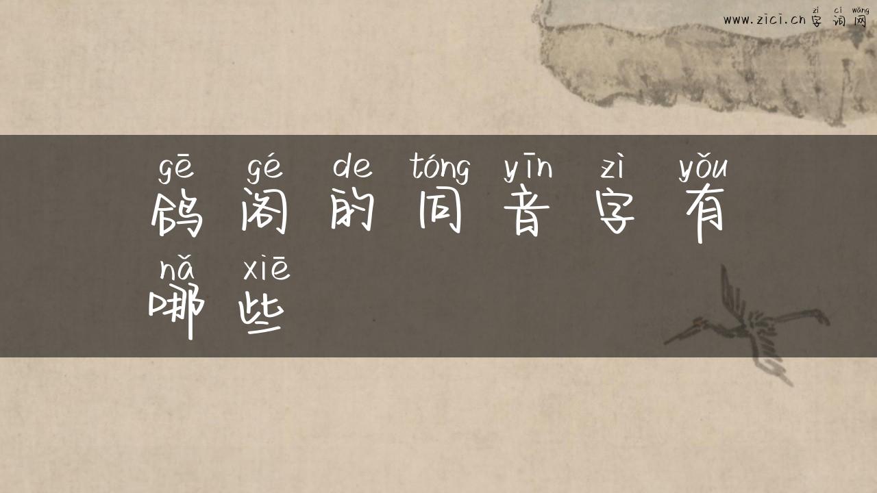 鸽阁的同音字有哪些
