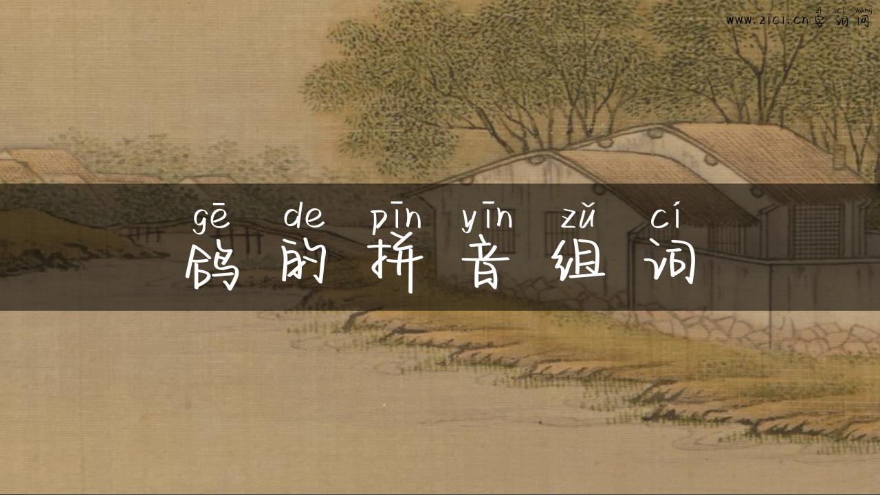 鸽的拼音组词