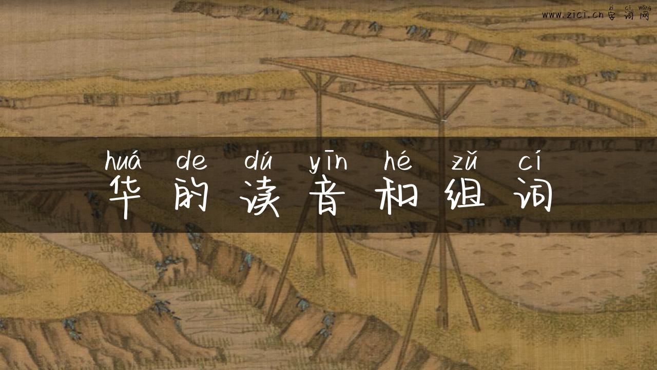 华的读音和组词