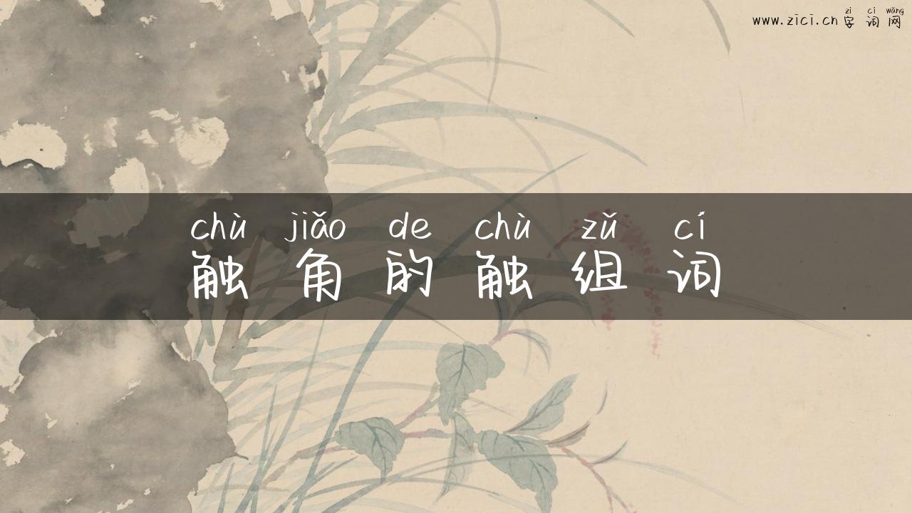 触角的触组词