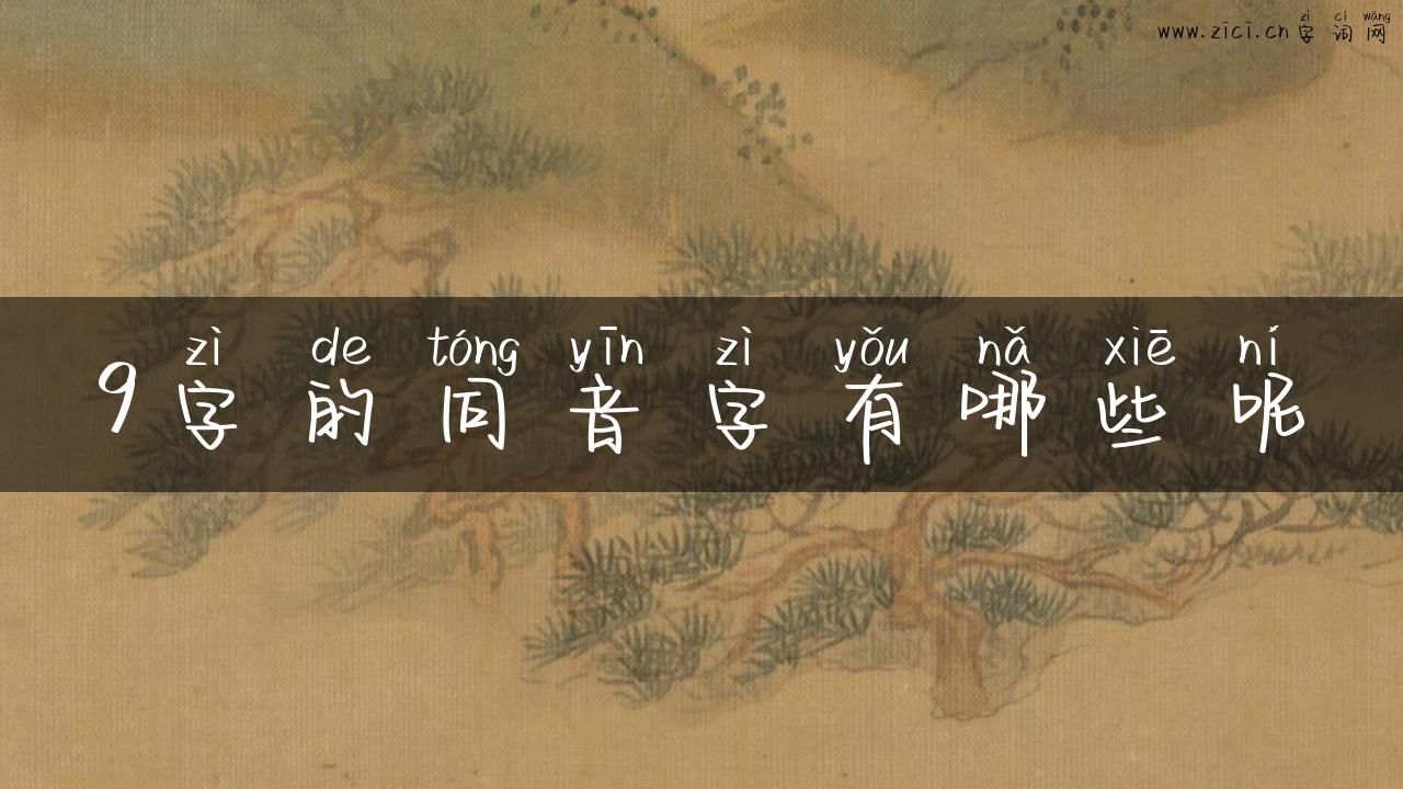 9字的同音字有哪些呢