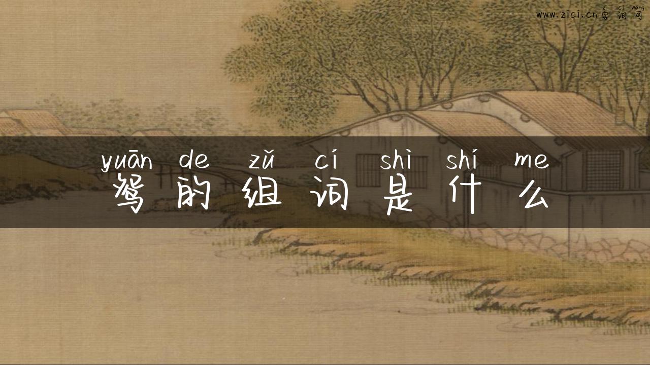 鸳的组词是什么