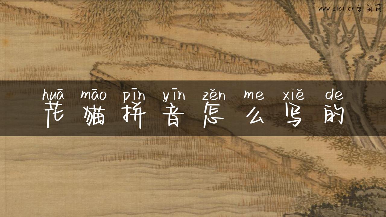 花猫拼音怎么写的