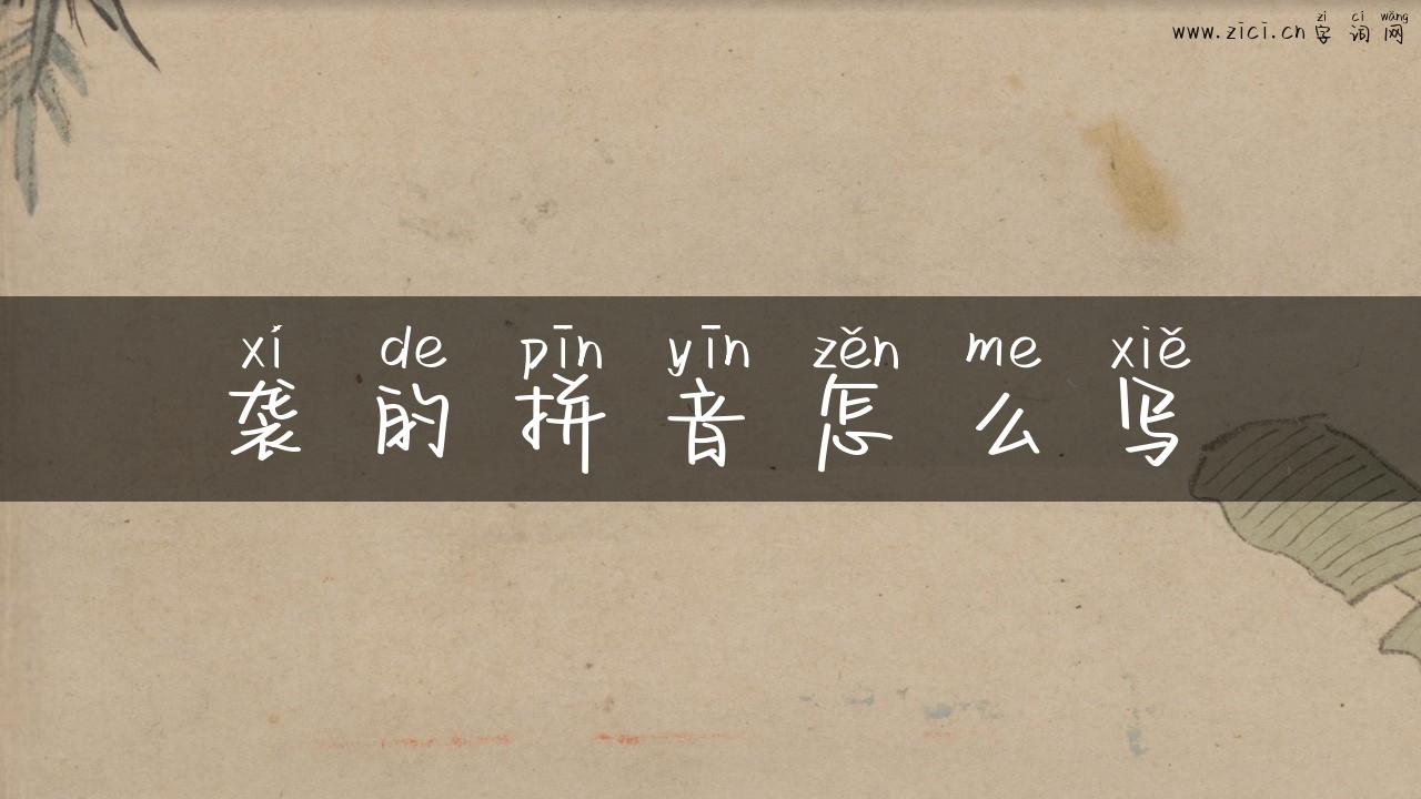 袭的拼音怎么写
