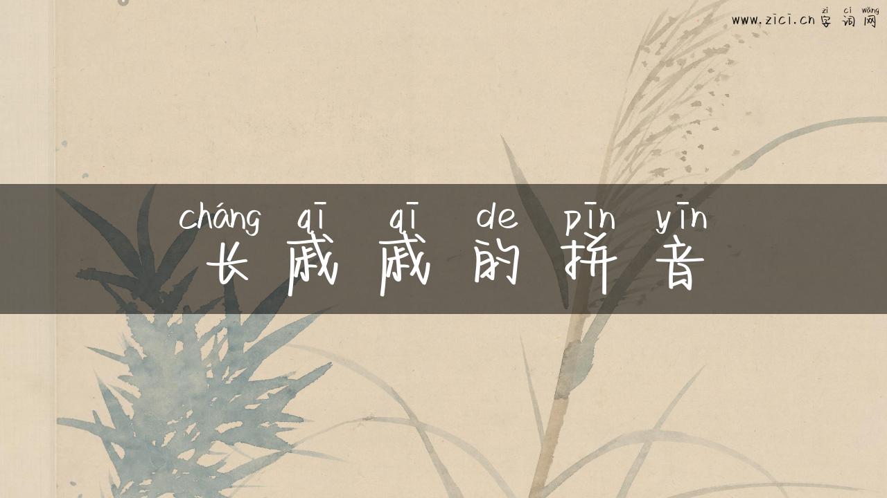 长戚戚的拼音