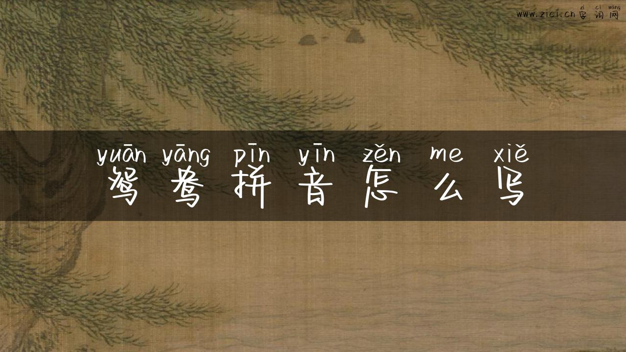 鸳鸯拼音怎么写