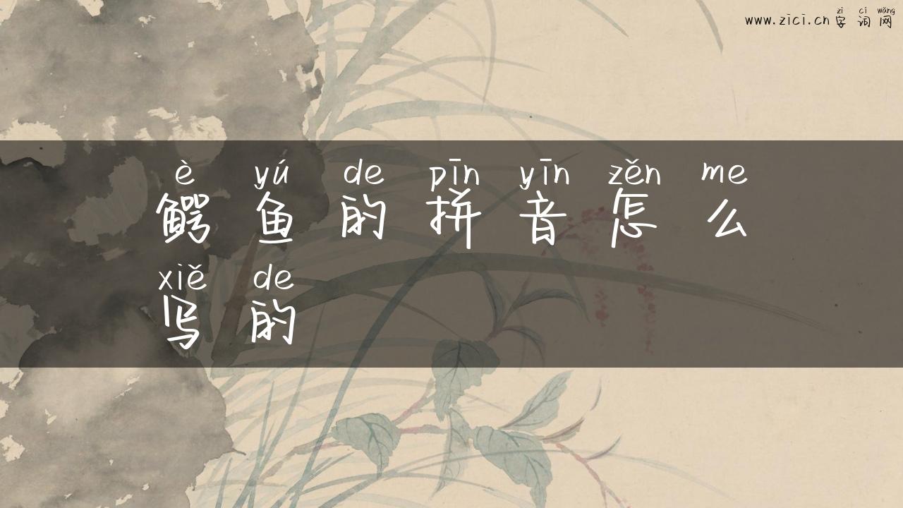 鳄鱼的拼音怎么写的